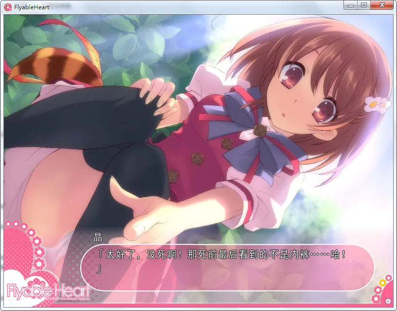 Flyable Heart
