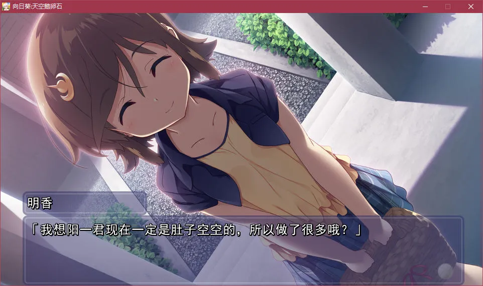 向日葵：天空鹅卵石
