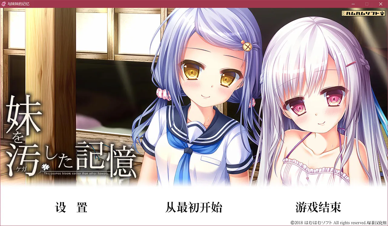 与妹妹的记忆